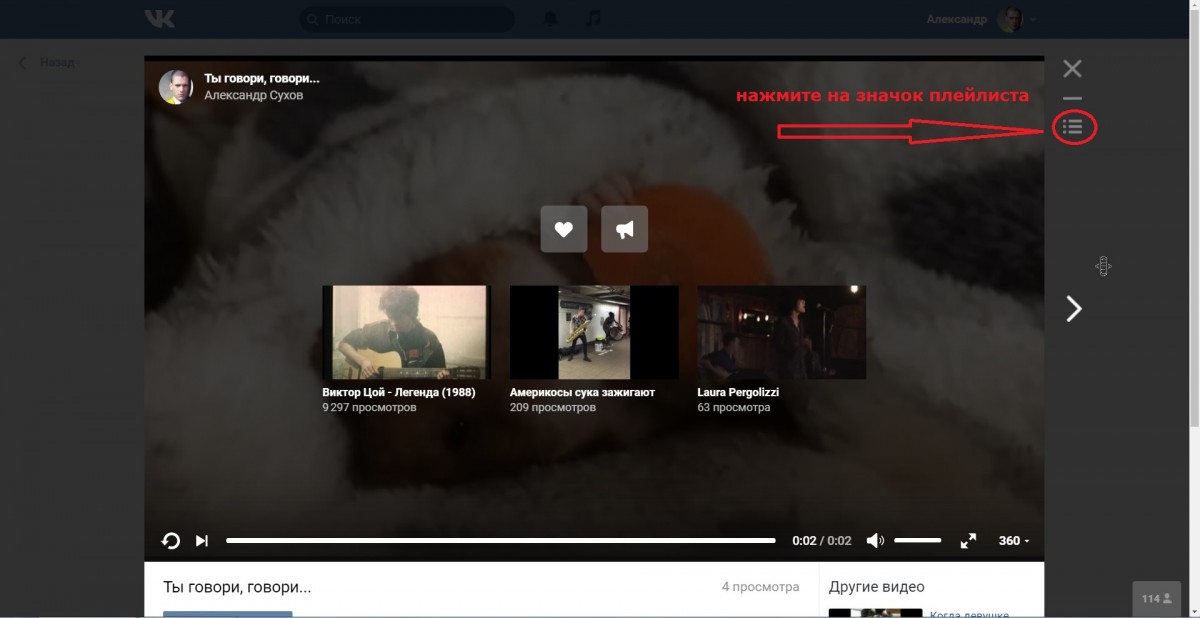 Why are videos in my news feed playing automatically?